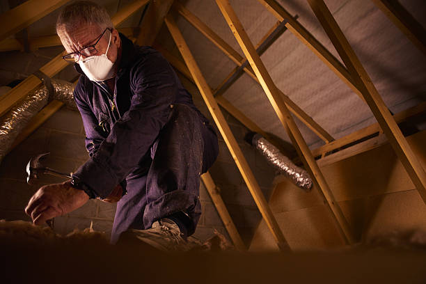 Best Commercial Insulation in Newton Falls, OH